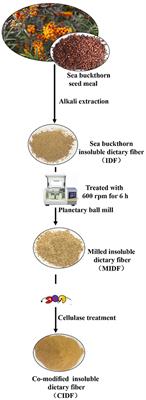 Effects of Ball Milling Combined With Cellulase Treatment on Physicochemical Properties and in vitro Hypoglycemic Ability of Sea Buckthorn Seed Meal Insoluble Dietary Fiber